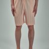 Homme Plissé Issey Miyake Color Pleats Bottoms Hot